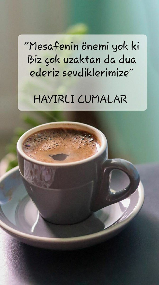 Günaydın Arkadaşlar☕🤗
Gününüz Aydın Olsun🌙🌻
 🌹#HayırlıCumalar🌹