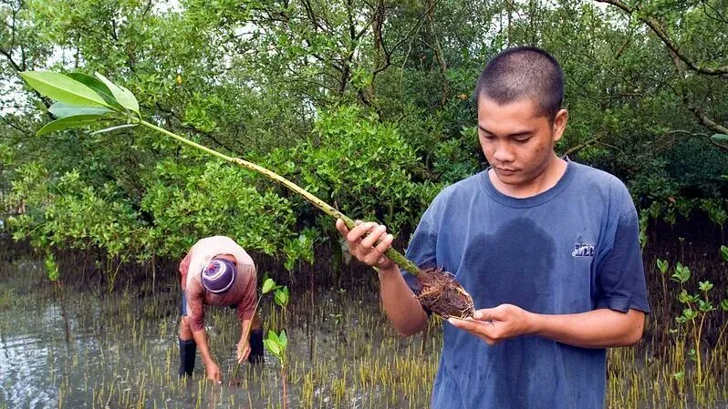 This article clears up some of the confusion surrounding how Nature Restoration actually works for carbon removal 😆🌱
Check it out here: bit.ly/3o4Cgfr
#CarbonEmissions #trees