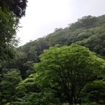 ツイートに含まれる画像