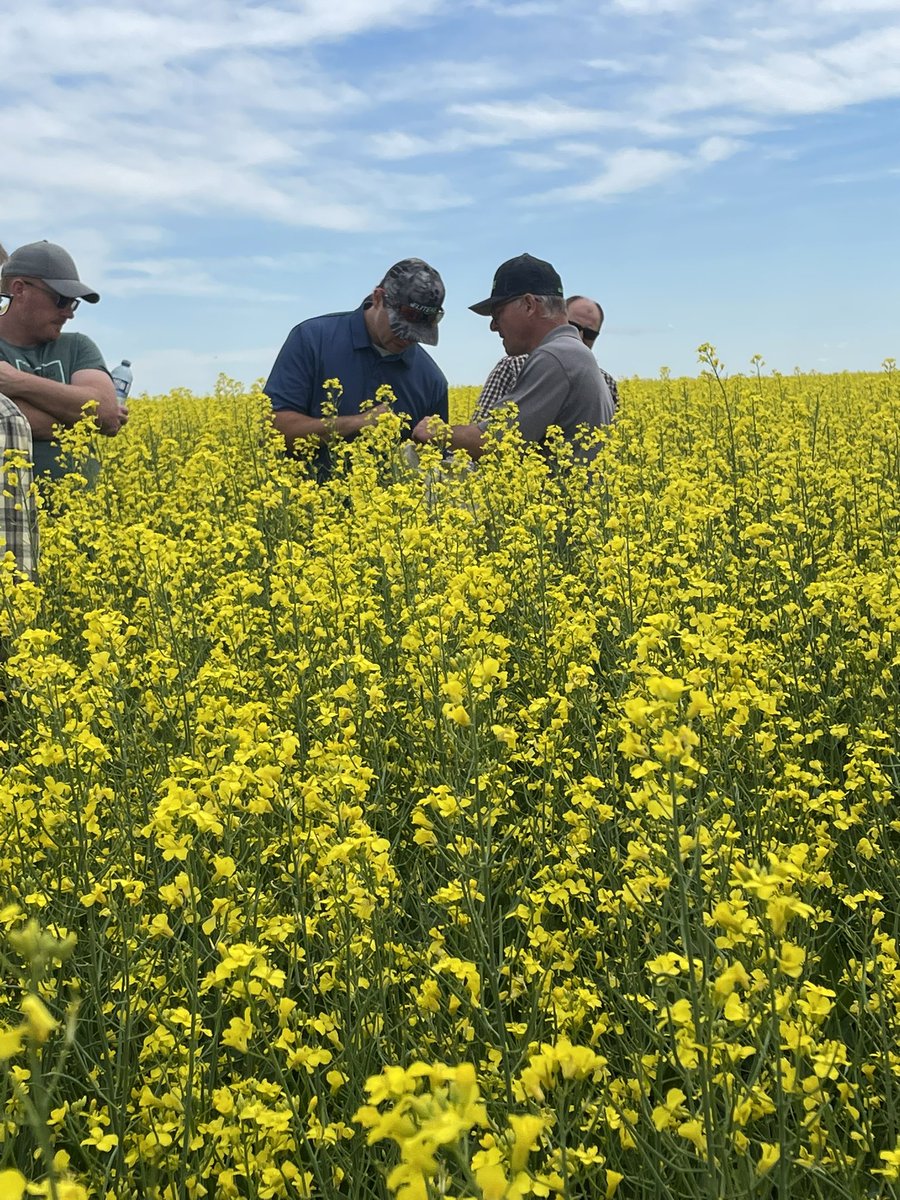 Good day for a crop tour <a href="/JhnthnJN/">Johnathon Nagel</a> <a href="/ChrisSolick/">Chris Solick</a>