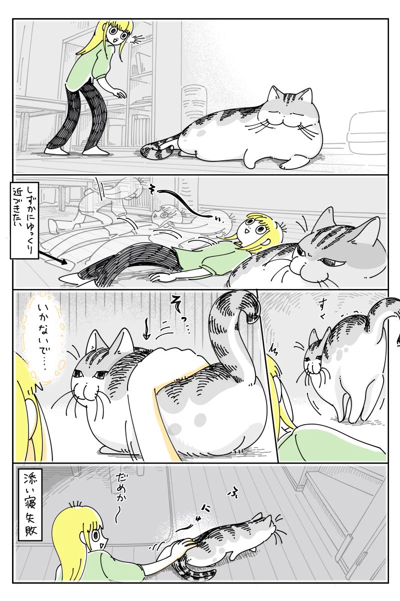 添い寝をしようとすると逃げてしまう猫！何度もチャレンジした末にようやく添い寝に成功するも･･･！
