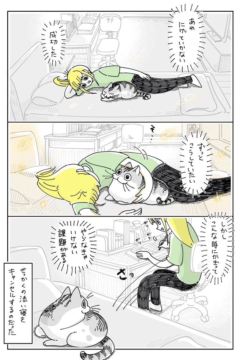 添い寝をしようとすると逃げてしまう猫！何度もチャレンジした末にようやく添い寝に成功するも･･･！