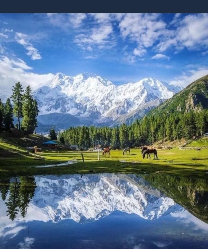 Buba (@buba62869792) on Twitter photo 