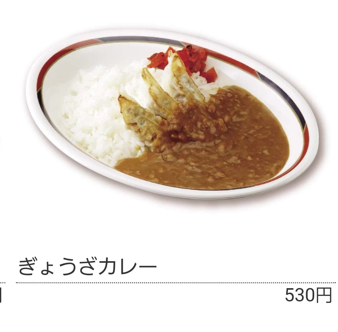 @pitapan2525 餃子カレー… 
