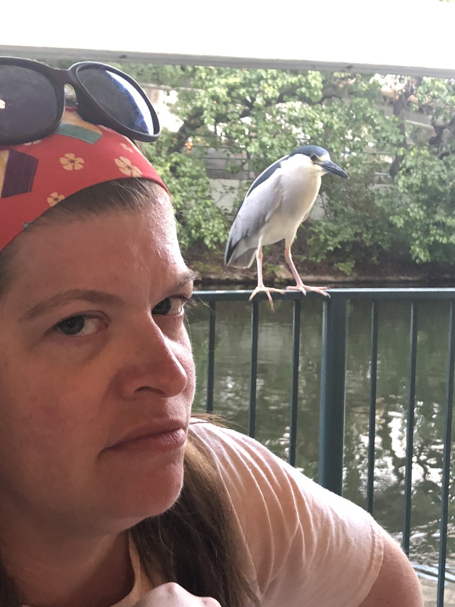 MrsKateMiller1's tweet photo. My favorite photos from Disneyland 🤣🤣 https://t.co/UevYGMjUUI