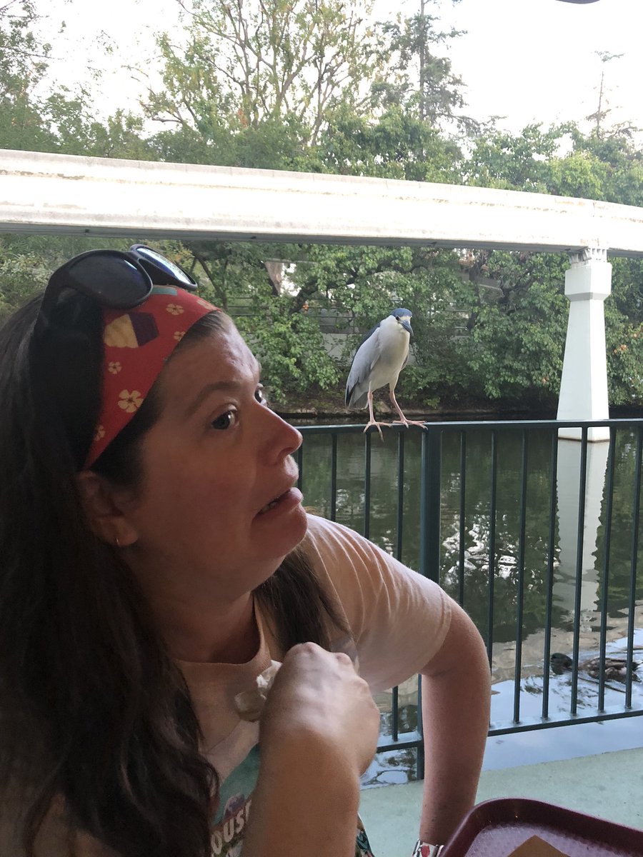 MrsKateMiller1's tweet photo. My favorite photos from Disneyland 🤣🤣 https://t.co/UevYGMjUUI