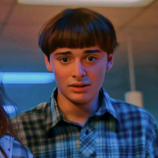 Will is gay and he does love Mike': Noah Schnapp spills the beans