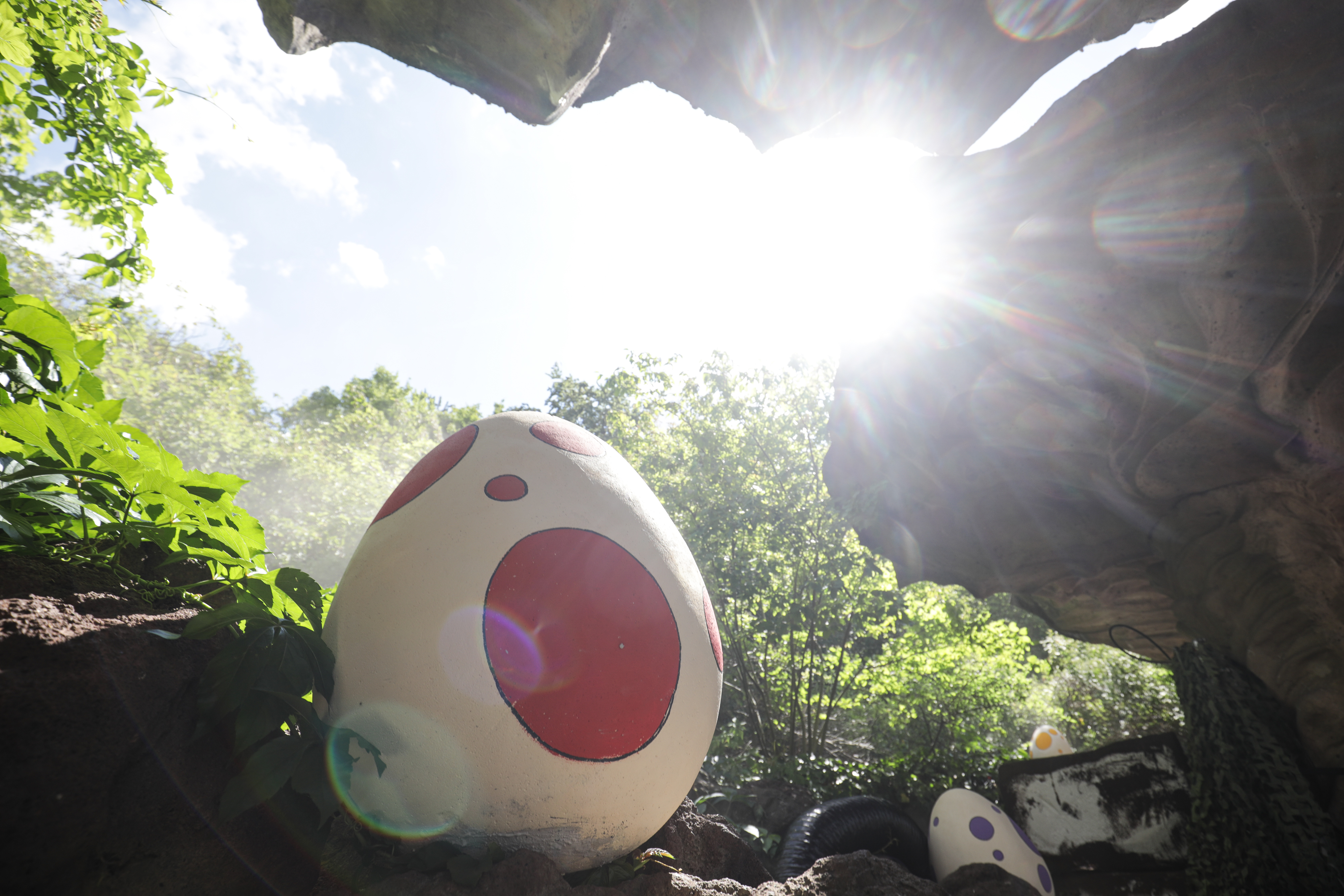 Pokemon Go Japan Pokemon Go Fest 22 リアルイベントの スペシャルリサーチ では 都市ごとに異なる ウルトラビースト と出会えます ベルリンでは フェローチェ が登場しました Pokemongofest22 ポケモンgo T Co Vw8lsl8qzi