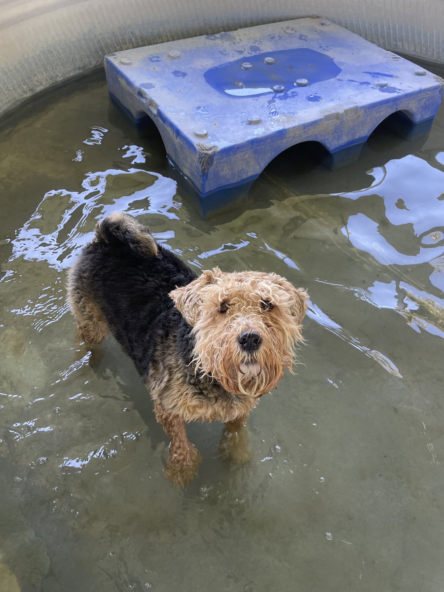 Last night in Tahoe with my lovely wife and family 💕  We have had an awesome week❣️Kurlee is living it up at Top Notch Kennel &amp; keepin cool 💦. Only 18 days left with our little Lela before we move her in at <a href="/UofAlabama/">The University of Alabama</a>. 

#Blessed
#EagleLakeHike 
#RollTide 🐘