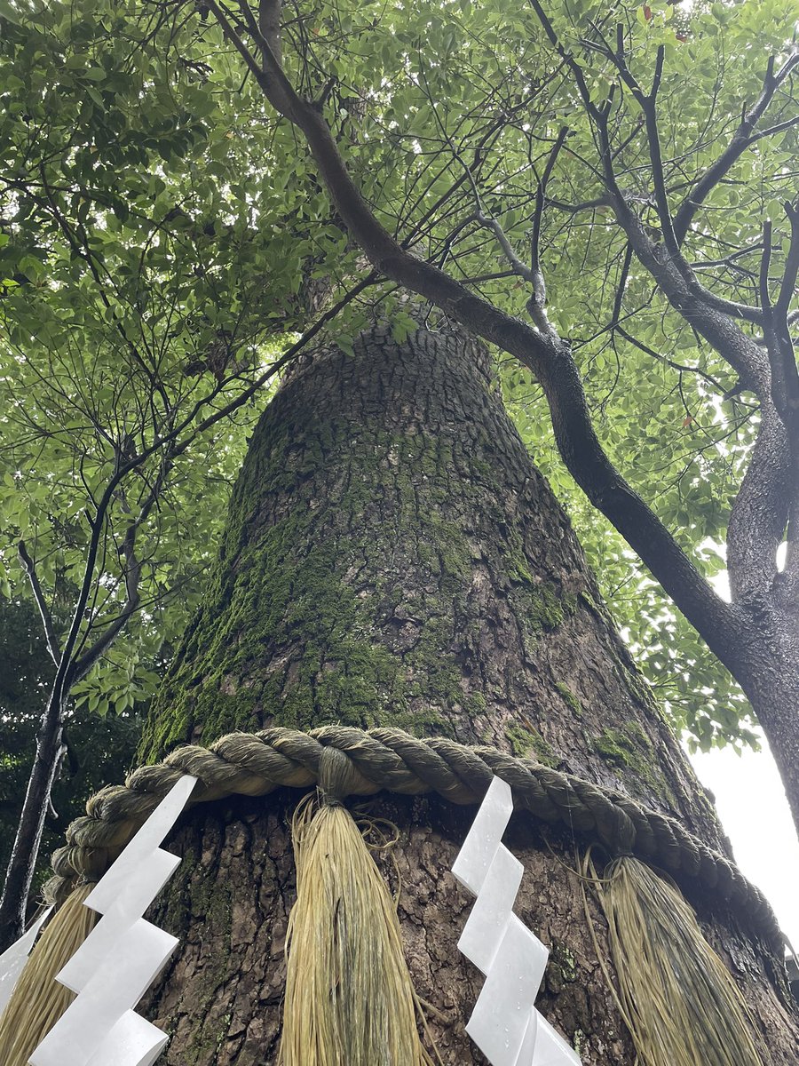 先ほどお参りしてきました☺️

雨粒が天から落ちてきて

本当に神々しい光景でした🙏🏻

皆さんの優しい気持ちに

私も癒されています☺️

 #風さんに綺麗な景色を贈ろう