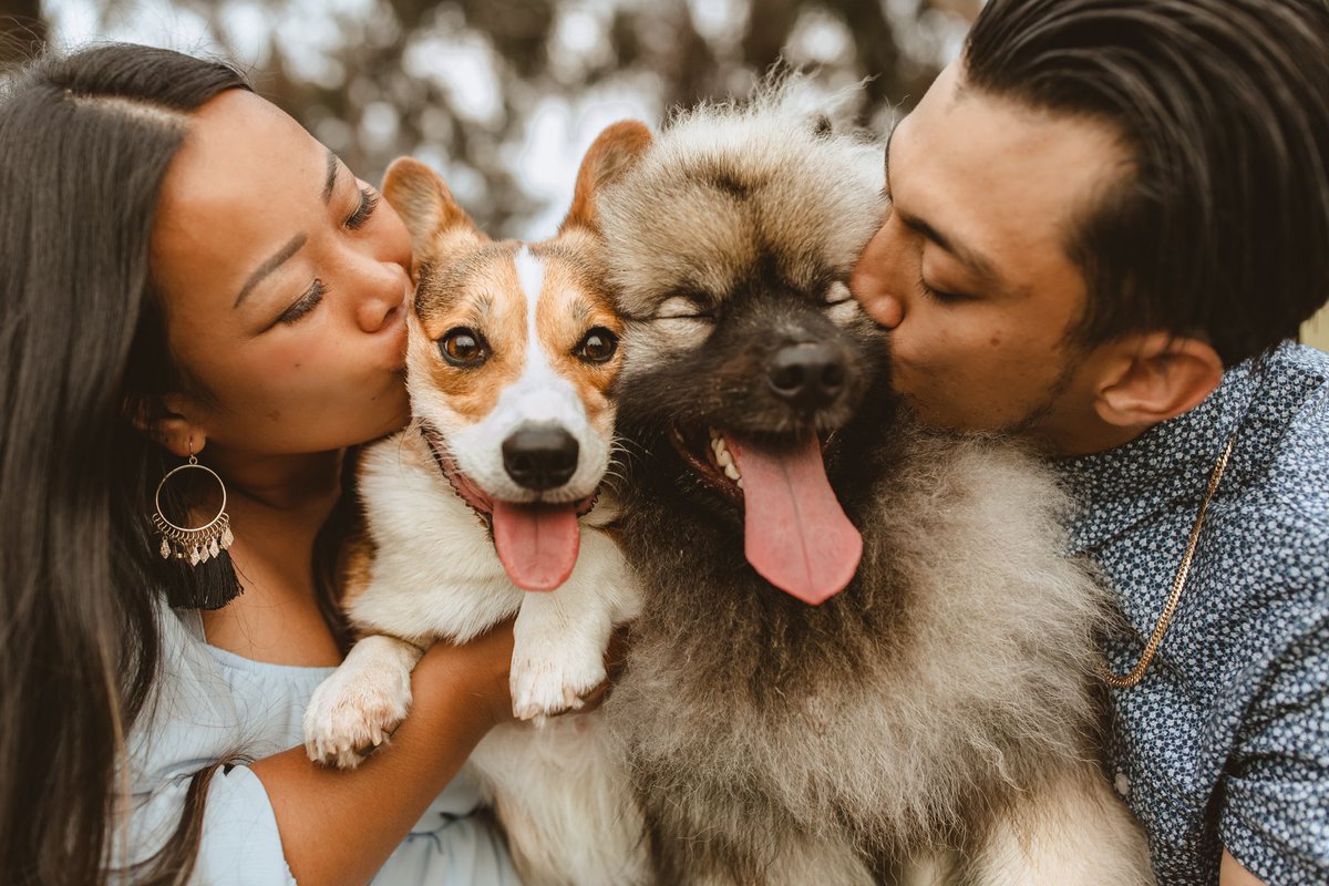 ᴘᴀᴠʟᴏᴠ ᴛʜᴇ ᴄᴏʀɢɪ tweet media