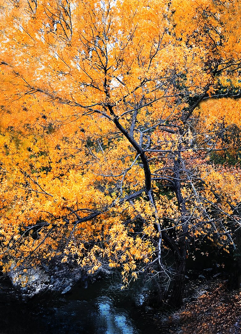 DailyPhotoGame1's tweet photo. (3 Things) has been published. See the whole conversation at Daily Photo Game - https://t.co/IC03O22Y0M California, Color, Color Image, colorful, dailyphotogame, Day, day time, light, Nature, No People, Outdoors, Southern California, USA, Vertical, water #California #Color ... https://t.co/w1lpy2OPrH