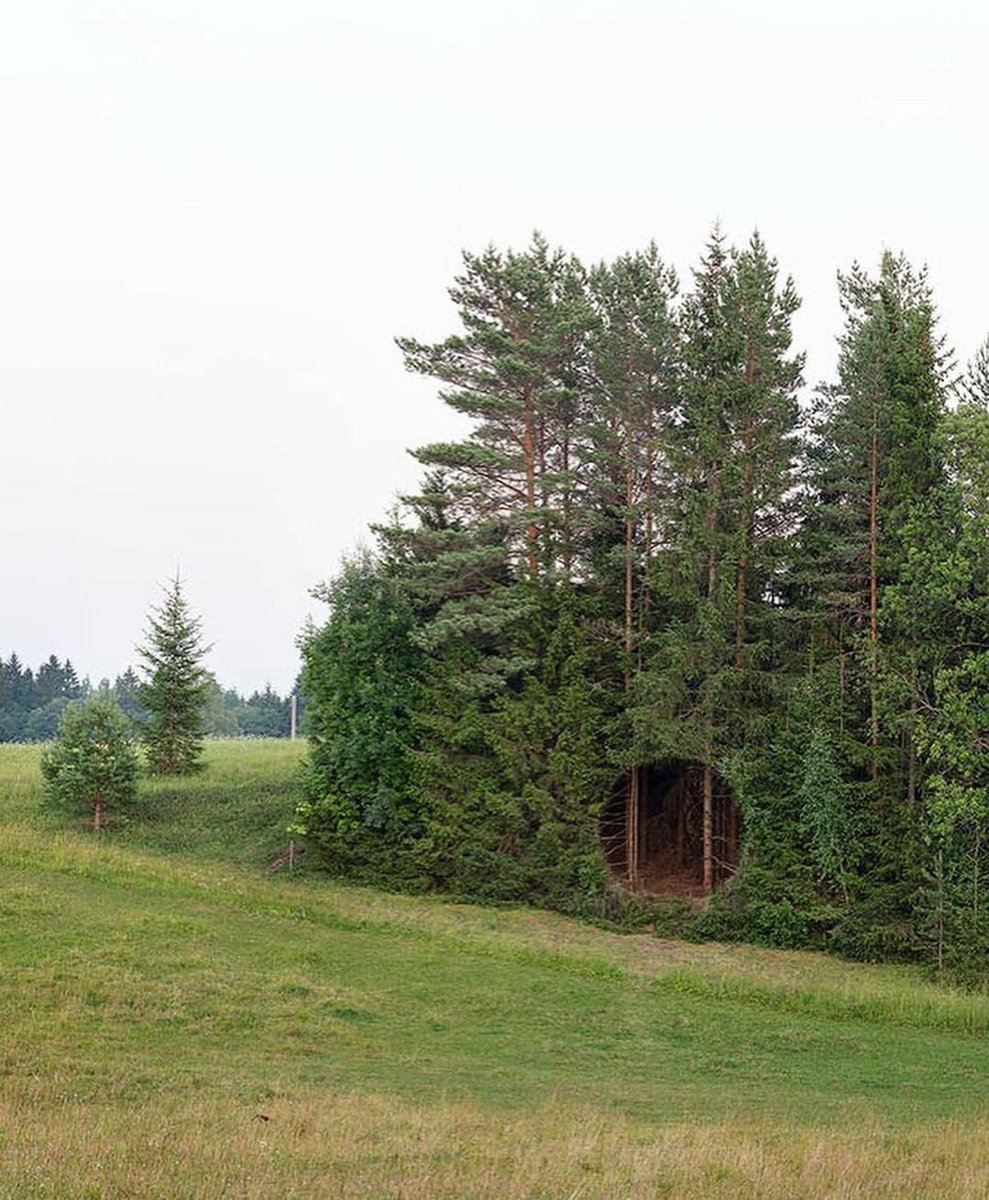 womenonIine's tweet photo. Do U wanna kiss in the weird hole in the woods https://t.co/nVPH8qO38z