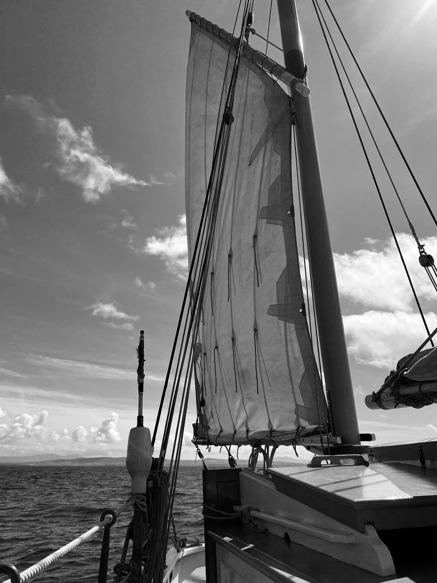 Ilen Marine School tweet media