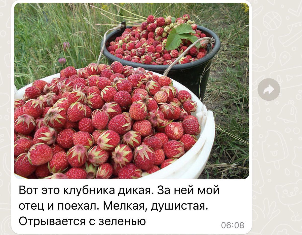 Настя Булочка 🥖 tweet media