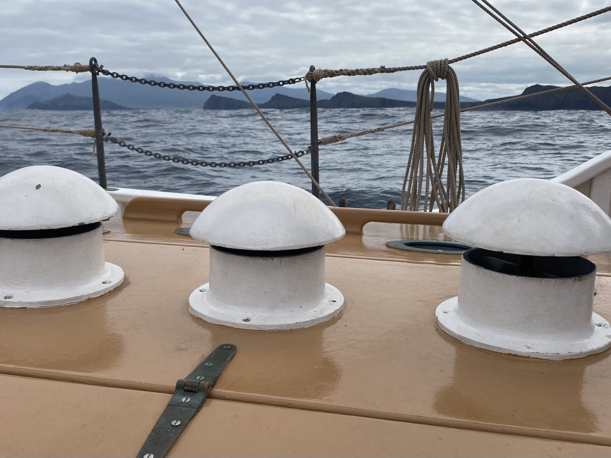 Ilen Marine School tweet media