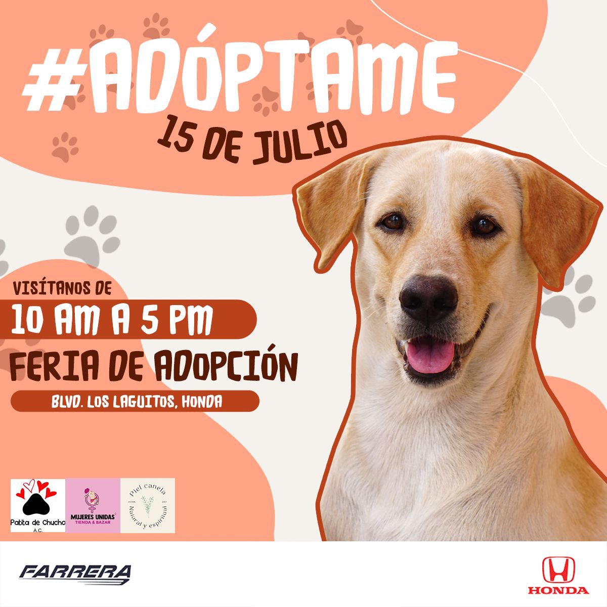 Patitadechucho's tweet photo. ¡Nos vemos mañana! 🫶🏻🐶🐈 https://t.co/5o1SSamvHN