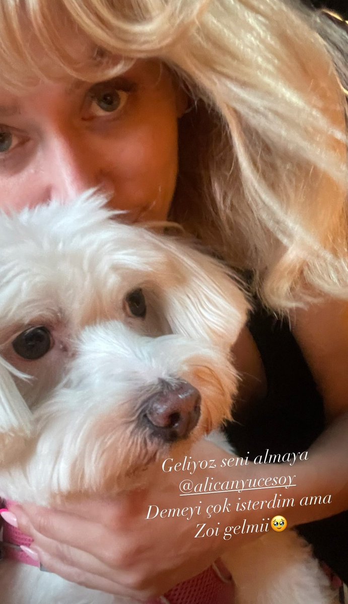 Tokat yolları taşlı hshsh 🎶 ama senin ayağına taş değmesin güzellik  #hazaltüresan