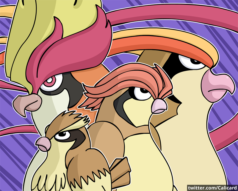 Calicard's tweet photo. Pidgey Patrol. (2019) #tbt #Pokemon https://t.co/yyfss90YEg