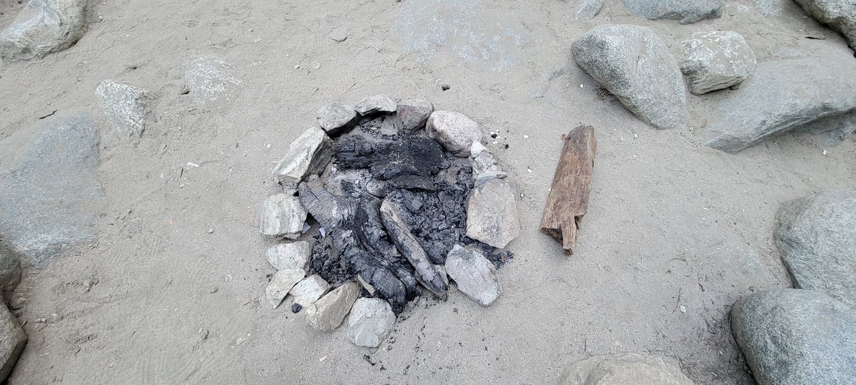 Edgar McGregor tweet media