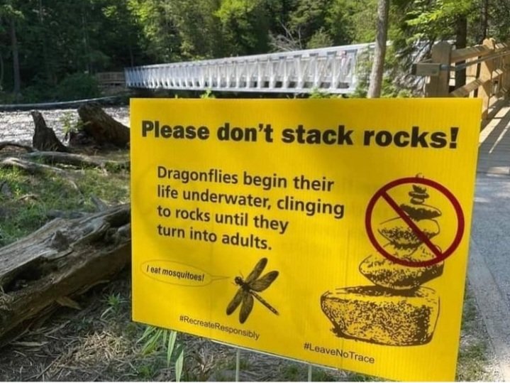 Stole this from a friend.