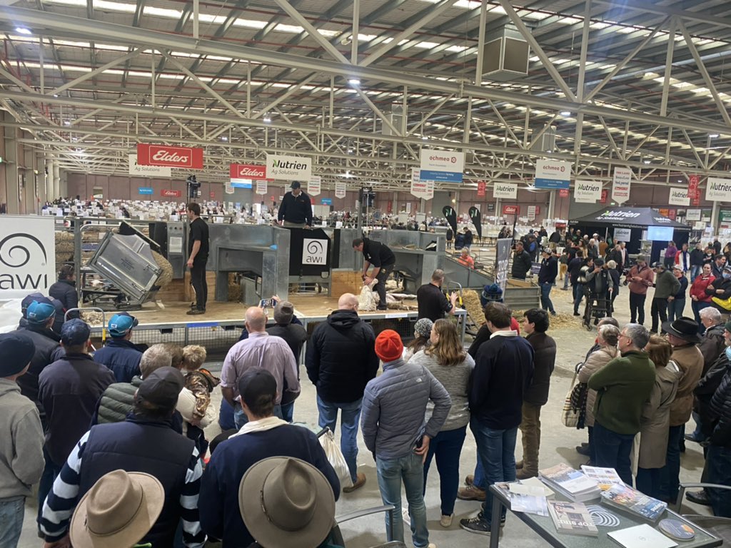 In full swing at the Australian Sheep &amp; Wool Show with the Race Delivery Module demonstration (pneumatic &amp; manual version) with SCAA shearers Tom, Sam and Glenn, with Shannon on the wool
 @sheepconnectnsw @sheepconnect @sheepconnect @sheepsback