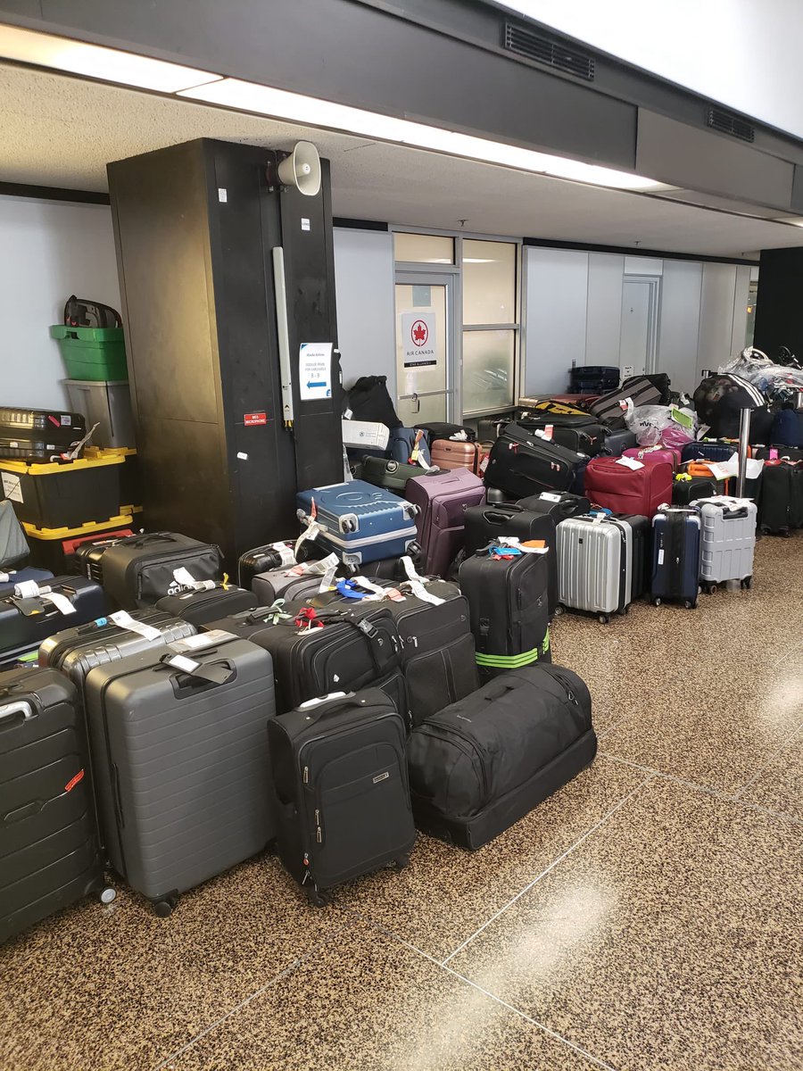 Felrod628 tweet media