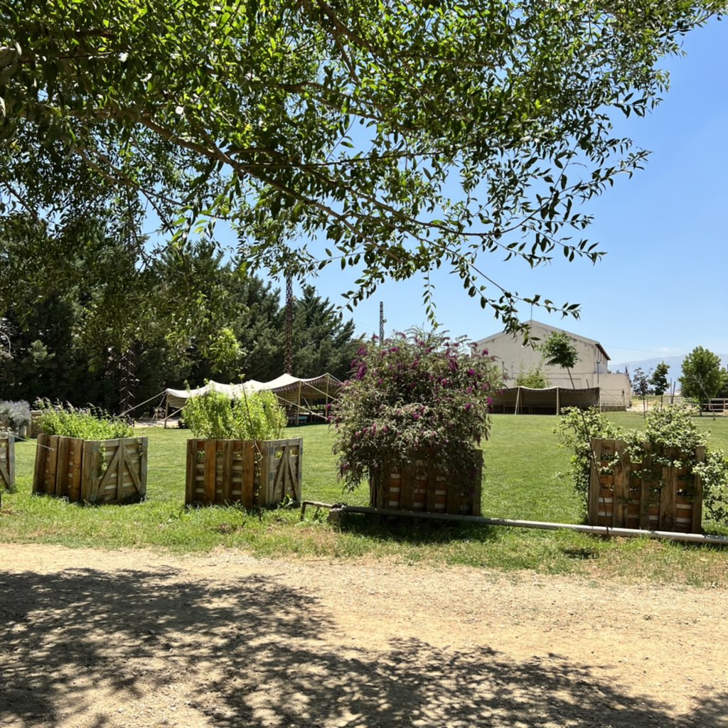 Our summer venue. A quiet place to relax and forget
.
#domainewardy #vineyard #summer #relax #forget #wine #arak #vodka #winery #distillery #nature #wardystud #arabianhorse #waho #winesoflebanon #lebanesewine #lebanesewineries #drinkresponsibly #cheers