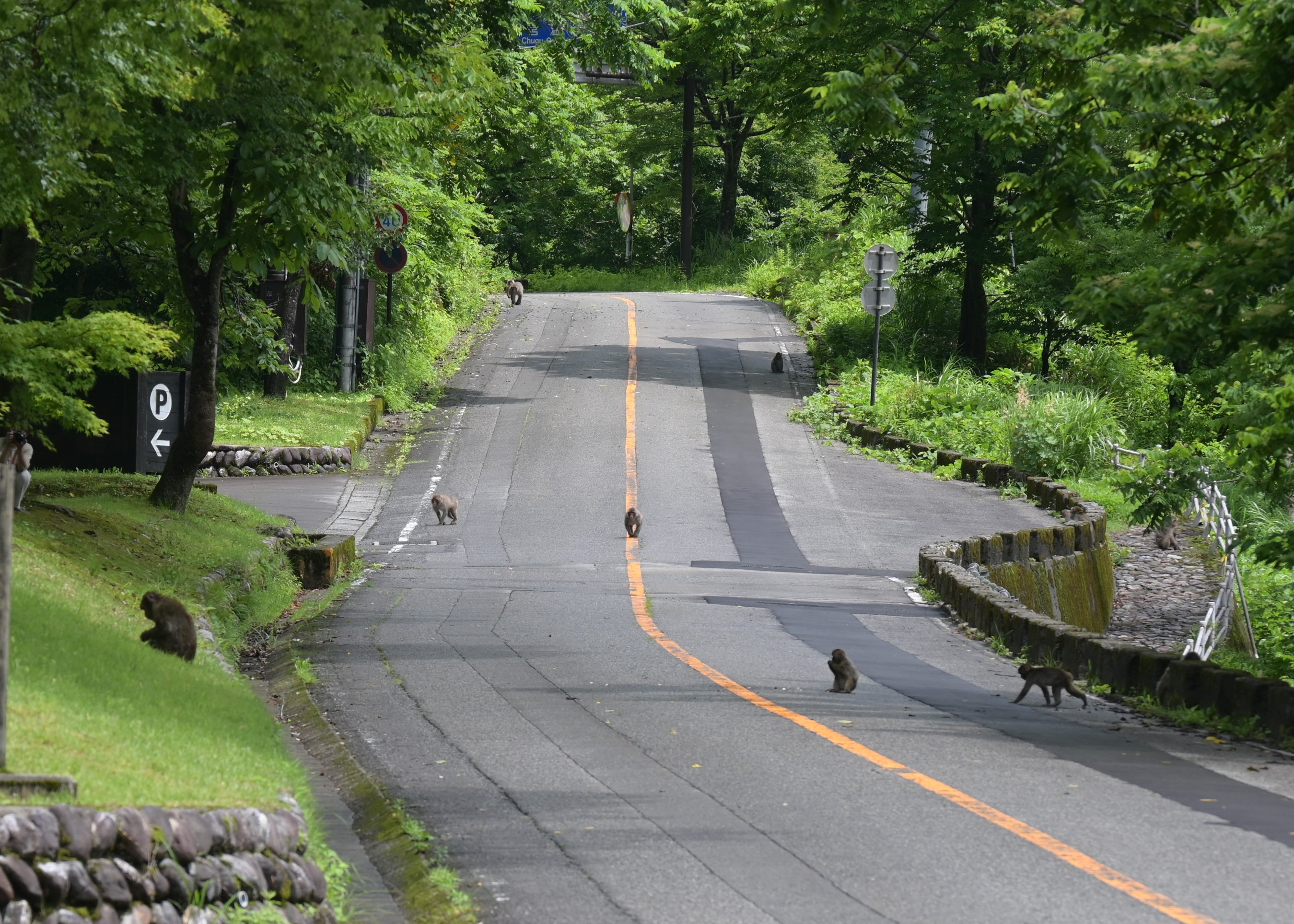 Tweets With Replies By 創業1300年 粟津温泉 法師 Ryokan Houshi Twitter