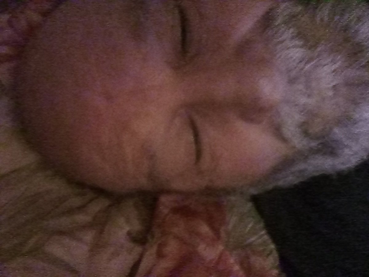 SkipSnyder7's tweet photo. @SeductiveMoms @SweetWives https://t.co/vwheCqf8kl
