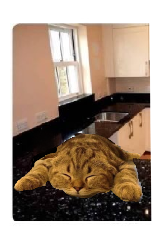 SailorTree's tweet image. 