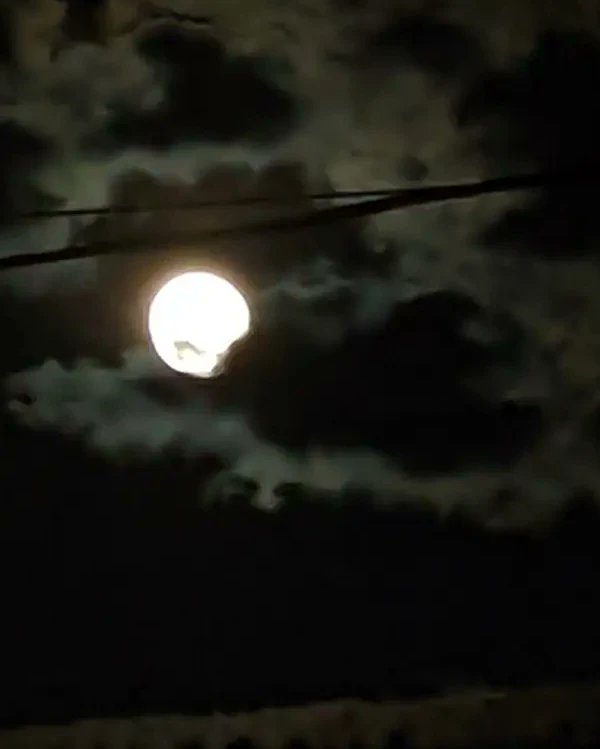 danielpsychic's tweet photo. The Moon is slowly on the Wane. In the Fixed Air Sign of Aquarius. It's OK to let it go. And it's OK to be greatly aware. Go! With the Wind! But plan on where you're going in this particular atmosphere. https://t.co/ma5BtSRXrY