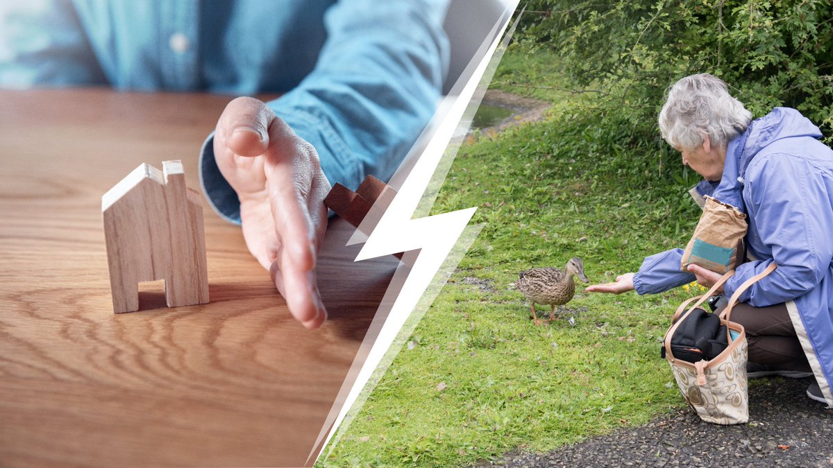 Conserver sa maison ou nourrir des canards, il faut choisir... Cette alternative ubuesque nous vient du Texas, en espérant que ce genre de procédures n'arrivent pas jusqu'à nous. immobilier.lefigaro.fr/article/ils-do…