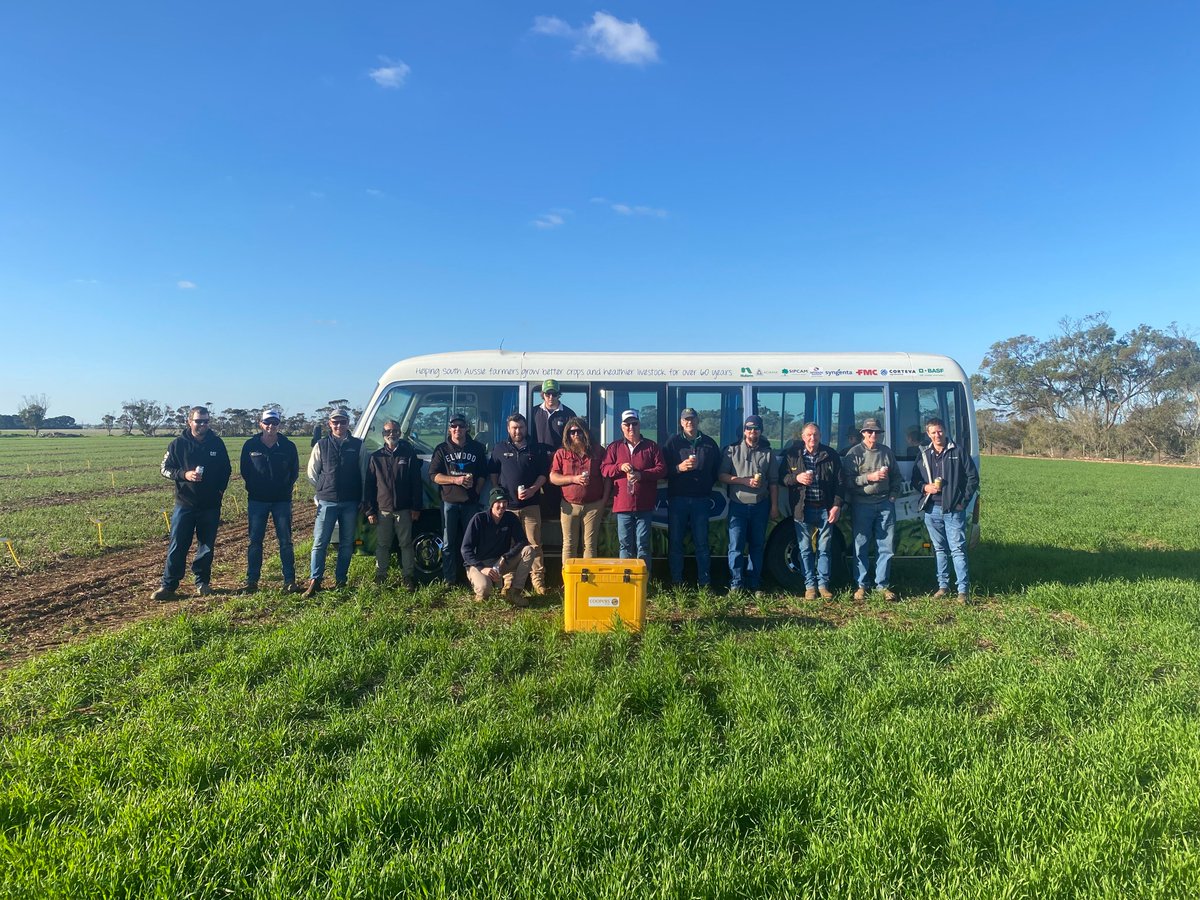 Our Southern team taking a group of growers from @awvaterco through our Paskeville Breeding site yesterday. Always a good opportunity to discuss new breeding lines, yield and disease resistance, and what our goals are for the future.
