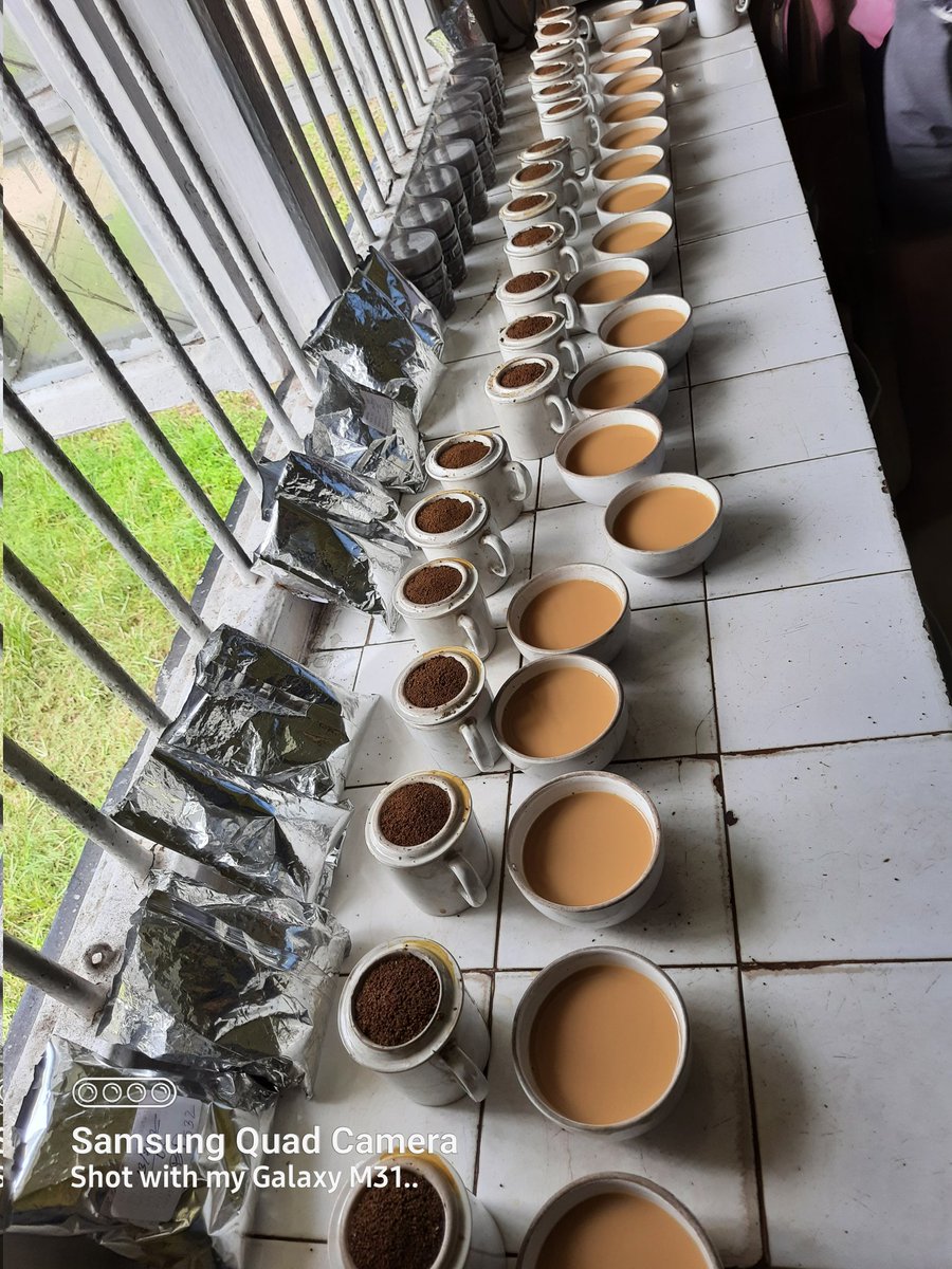 Dr P Baruah FounderWorld TeaEnthusiastsAssam India tweet media