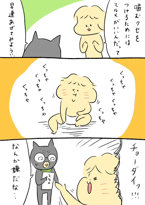 スルメ大好きだそうです 