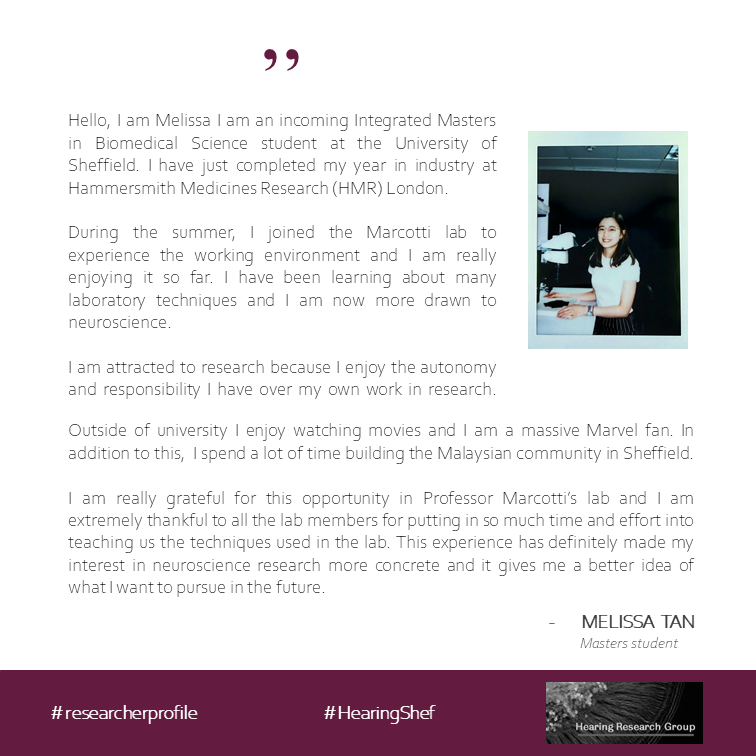 HearingShef's tweet photo. For this week's #MeetHearingShef we have Melissa! A Master's student doing a placement in the Marcotti lab
#researcherprofile
#HearingShef https://t.co/la03gq3af1