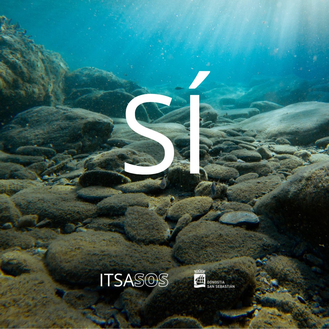 Ayto_SS's tweet photo. RT @DSS_Ingurumena: Este fin de semana será muy caluroso
Disfruta de las playas, y no olvides que el mar necesita de tu ayuda
#itsaSOS https://t.co/OQo4UqDz4q