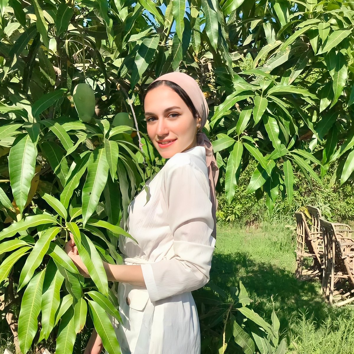 #NewProfilePic Butterfly doesn't know it has all this beauty, and so do you🦋🌿