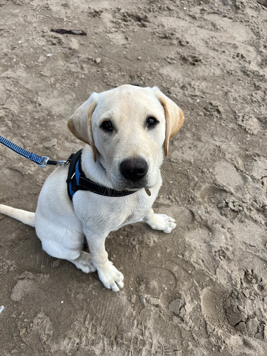 Amy Peters tweet media