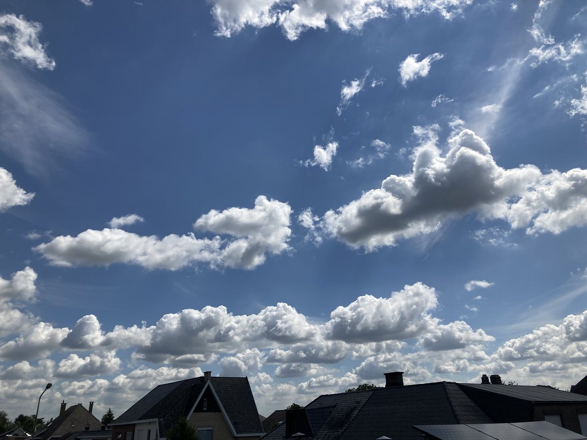 Lutgartvdm's tweet photo. #vrtweer Denderleeuw 12:40 Isolde van der Laan https://t.co/qO0j7HNYLg