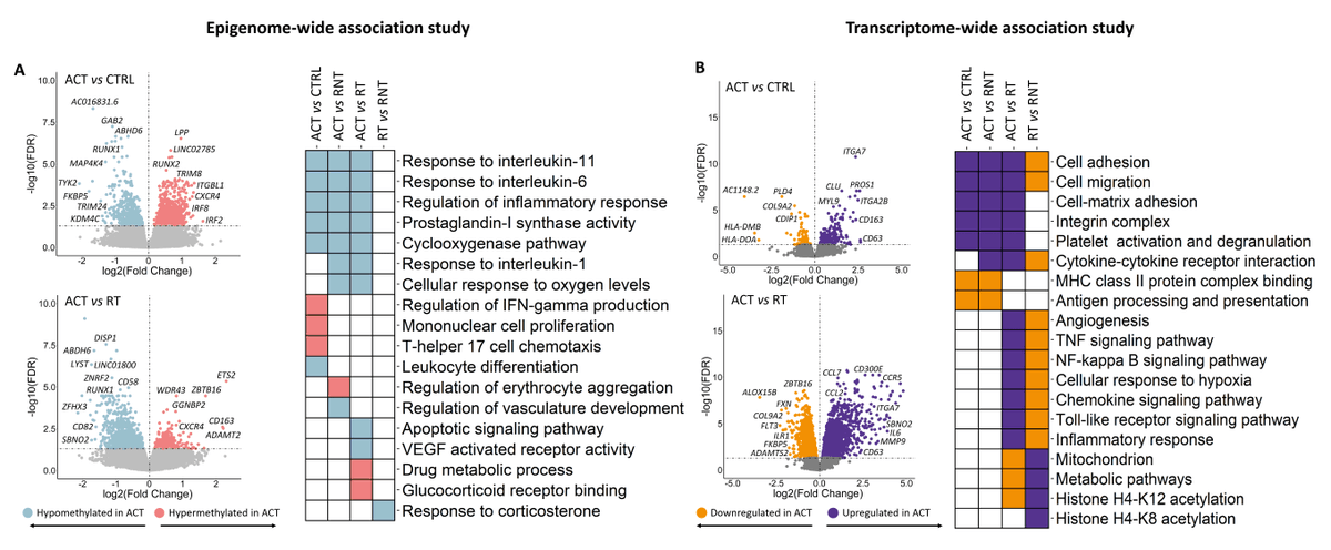 ipbln_csic's tweet photo. 📄 #PublicacionRelevante
El primer estudio del #metiloma y #transcriptoma de monocitos de pacientes de #ArteritisDeCélulasGigantes revela profudas alteraciones:
🔗 ¡Descubre más del último trabajo del grupo del profesor Javier Martín!  https://t.co/rlCoDj1lLq https://t.co/zn07z3LA7x