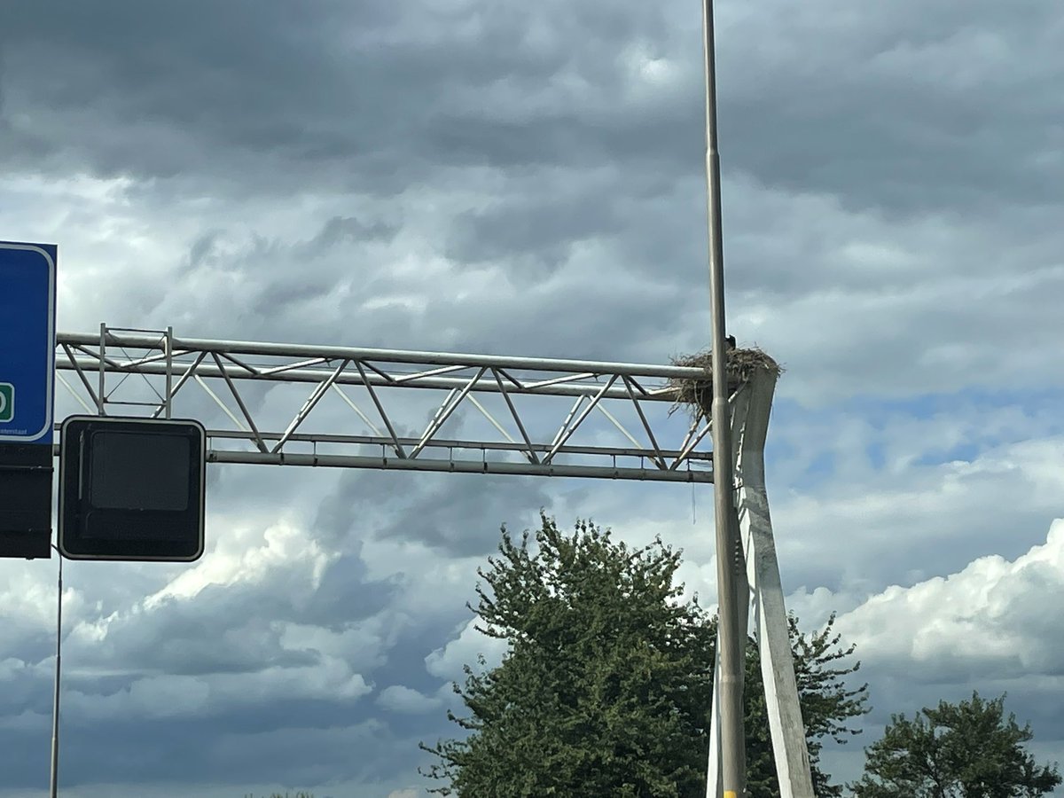 Ondertussen op de A50 knooppunt #Beekbergen. Familie #Ooievaar mooi nest op het Matrixportaal. #Natuur #Genieten #Ongestuurd #Gezellig <a href="/Rijkswaterstaat/">Rijkswaterstaat</a>