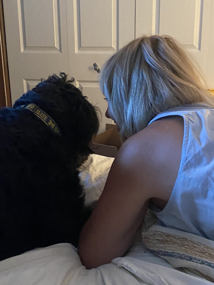 nanamary68's tweet photo. My best friend ❤️ #dogsoftwitter #lovemydogs #ziggyboy #bestfriends #dogs #dogsarefamily #love #lostwithouthim https://t.co/loAVOVGK7Q