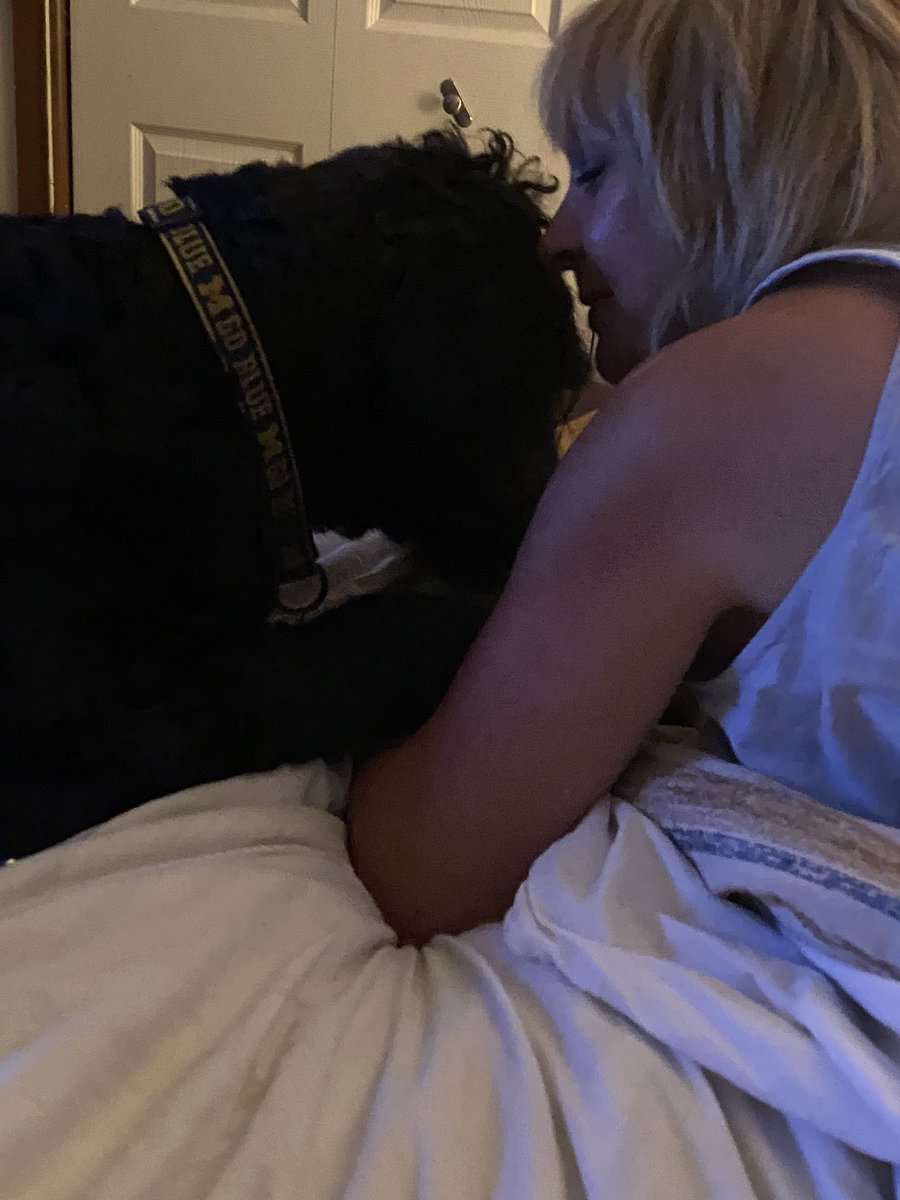 nanamary68's tweet photo. My best friend ❤️ #dogsoftwitter #lovemydogs #ziggyboy #bestfriends #dogs #dogsarefamily #love #lostwithouthim https://t.co/loAVOVGK7Q