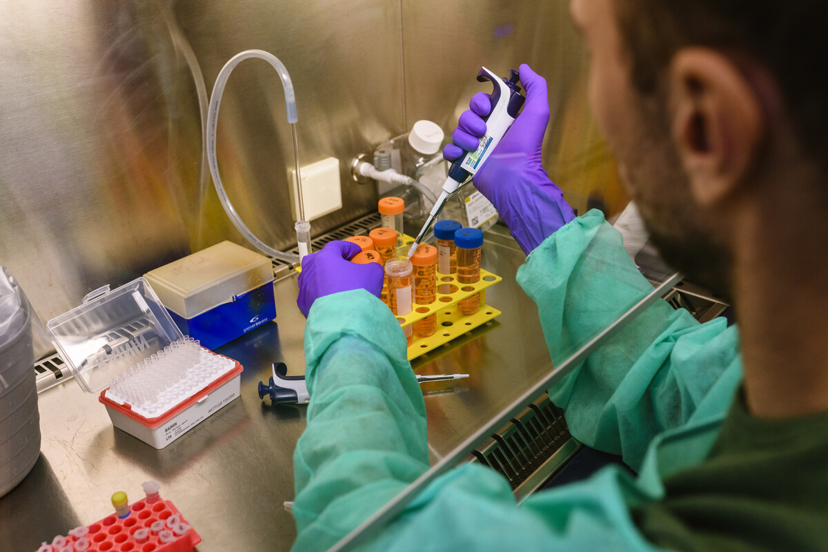 UMC Utrecht (@umcutrecht) on Twitter photo Drie onderzoekers van het <a href="/UMCUtrecht/">UMC Utrecht</a> ontvangen subsidie van <a href="/kwf_nl/">KWFKankerbestrijding</a> voor hun onderzoek naar #kanker. Dr. Sjoerd Elias, prof. dr. Linde Meyaard en dr. Marta Cuenca starten onderzoek naar beeldvorming bij #dikkedarmkanker, #immuuntherapie en #myeloom. ➡️ umcutrecht.nl/nl/over-ons/ni… Drie onderzoekers van het <a href="/UMCUtrecht/">UMC Utrecht</a> ontvangen subsidie van <a href="/kwf_nl/">KWFKankerbestrijding</a> voor hun onderzoek naar #kanker. Dr. Sjoerd Elias, prof. dr. Linde Meyaard en dr. Marta Cuenca starten onderzoek naar beeldvorming bij #dikkedarmkanker, #immuuntherapie en #myeloom. ➡️ umcutrecht.nl/nl/over-ons/ni…