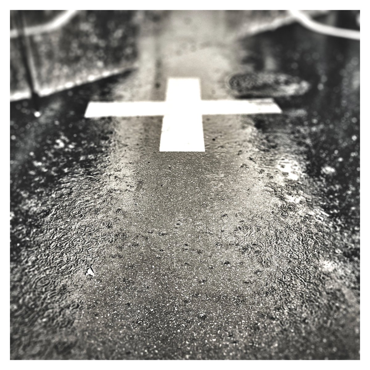 Pla_kenken's tweet image. 昼散歩。でした。
雨風強い所は、どうかお気をつけて。
#forked