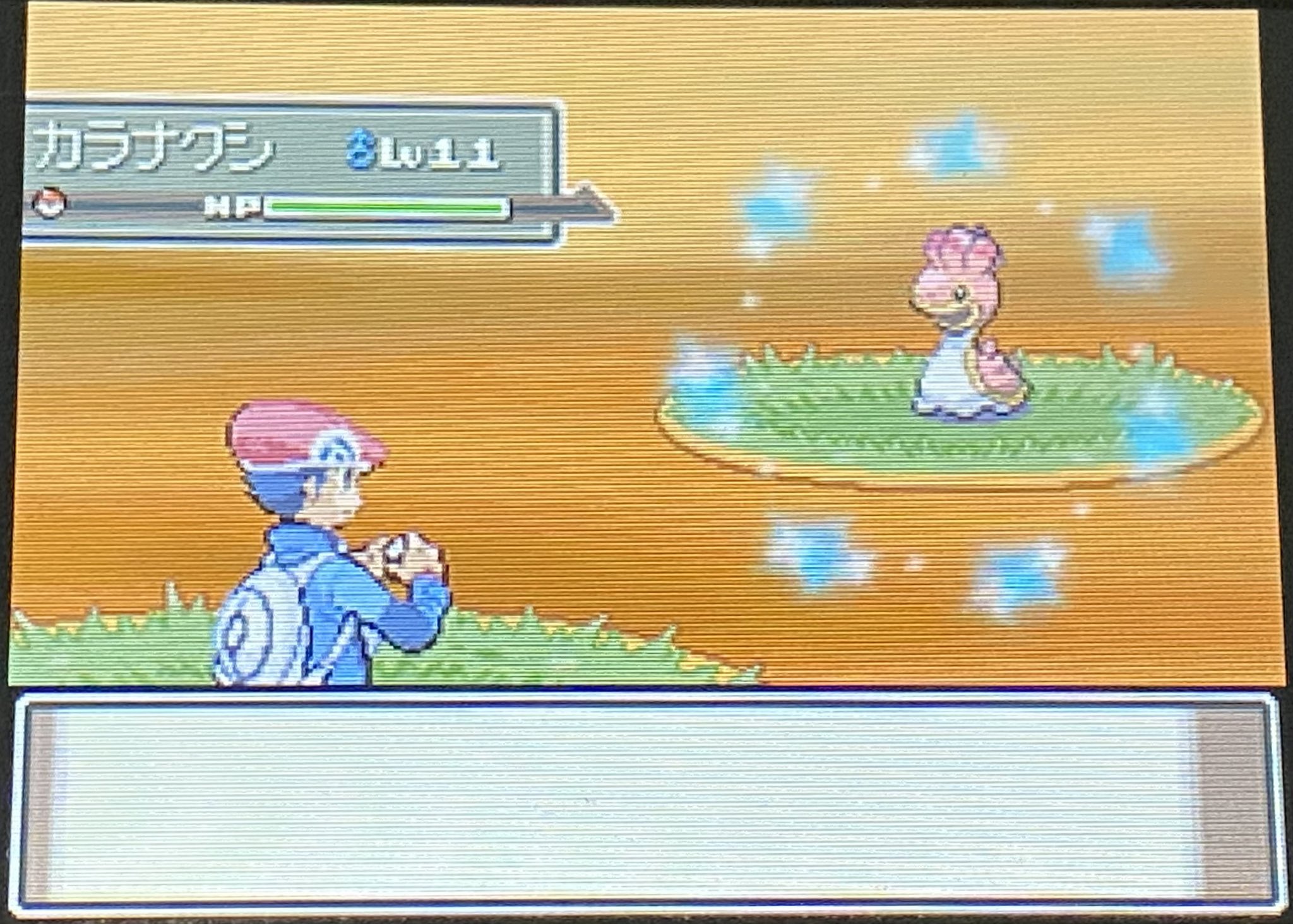カズヤ ポケモン Kaz Poke039 Twitter
