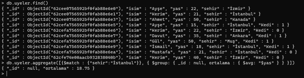 tayfunbasogluu's tweet photo. MongoDB'de belirli bir değere uyanlar arasında ortalamayı alma https://t.co/EWudz0Pz34