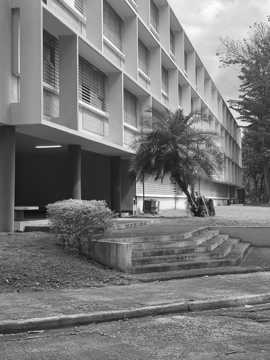 Business Administration and Social Sciences Buildings. University of Puerto Rico. Architect Henry Klumb. Ph Irma Nuñez, 2021. Source Research and dissemination project FotoExploratorio #klumb #university #view #exterior #visualclues #photo #modernarchitecture #fotoexploratorio